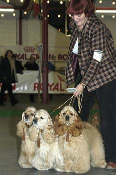 gal/Expo janvier 2005/DSC_4578.jpg